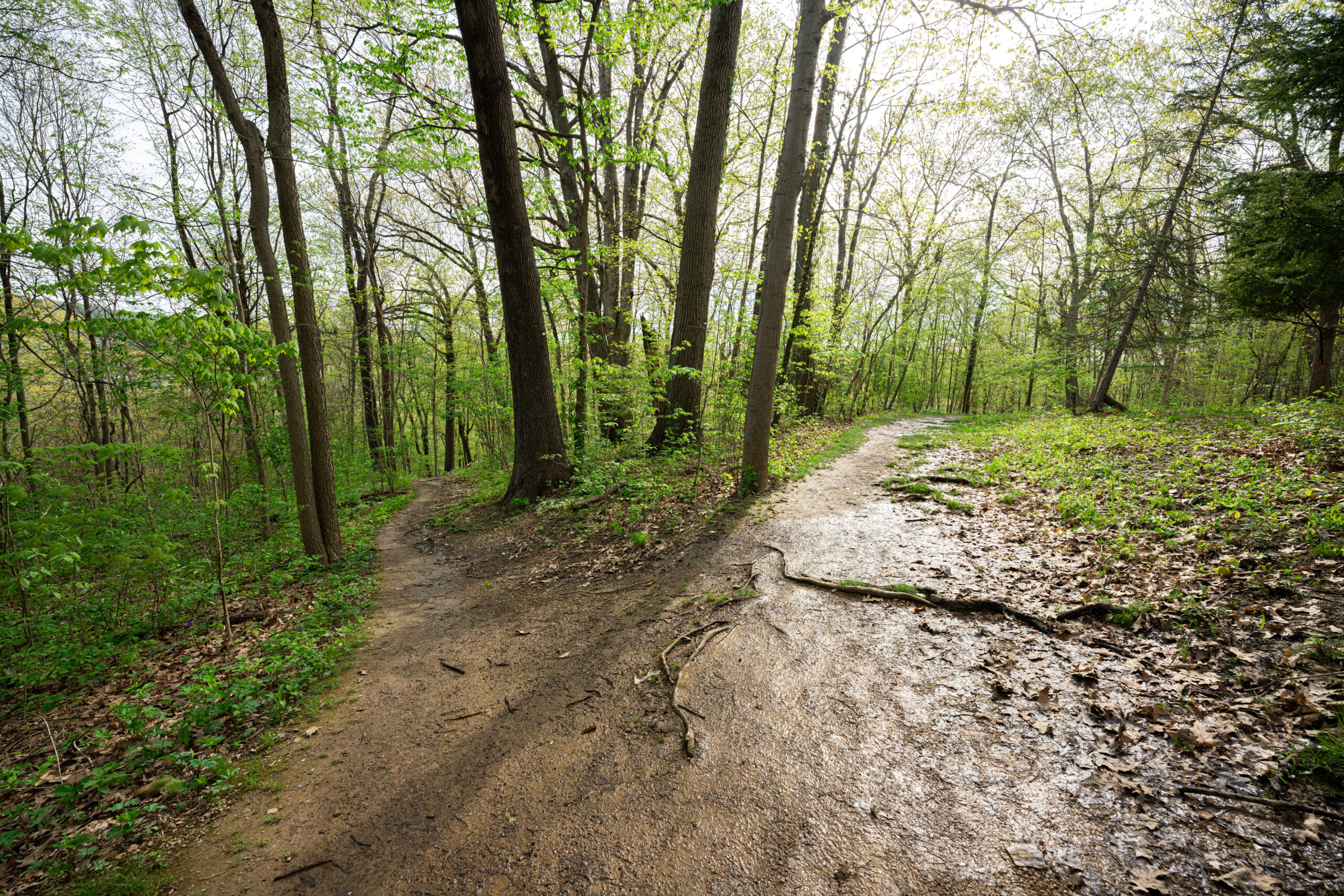 Trails located in Star City are closed for paving